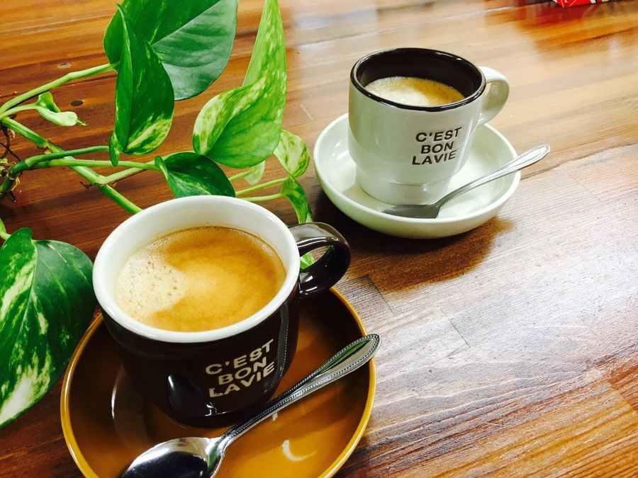 木のテーブルに置かれたコーヒーカップと観葉植物